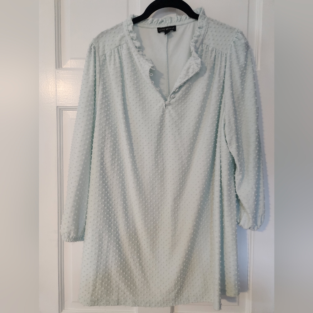 Light green textured blouse